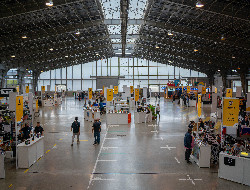 OLEVENE image - IMG_-